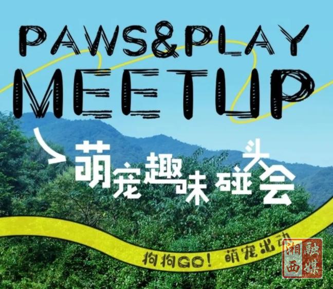 矮寨奇观旅游区：五一萌宠集结，一起撒野，火热招募中！